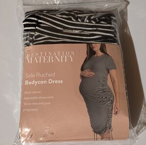 Destination Maternity Short Sleeve Side Ruched Ribbed Bodycon Dress | Stripe